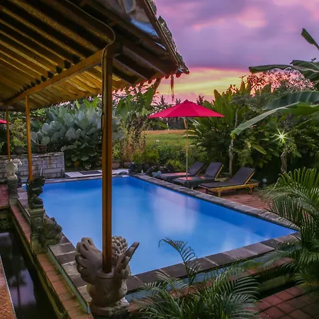 Soca House Hotel