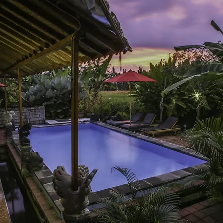 Hotel Soca House