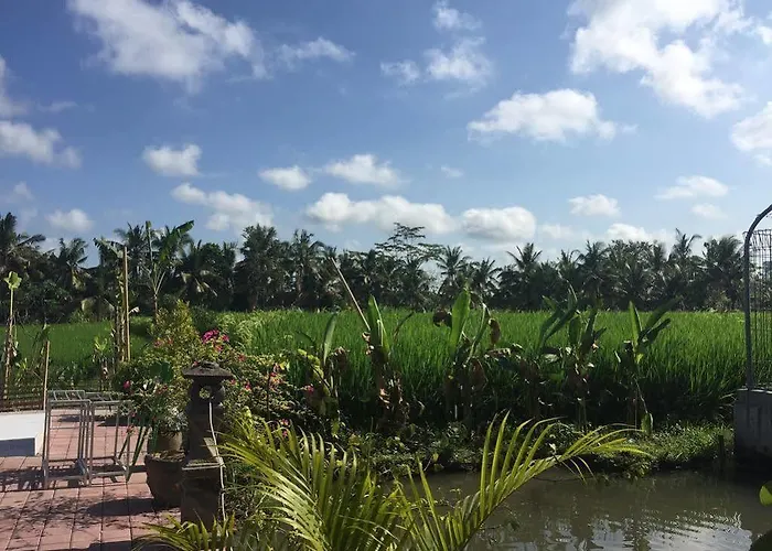 Soca House Pensión Ubud